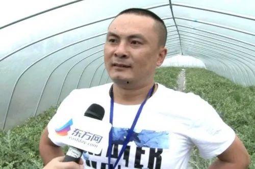 吃瓜爆料网红新闻,吃瓜爆料背后的真相与争议