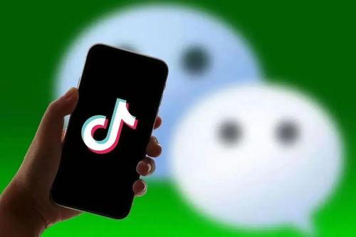 抖音黑料吃瓜qq群,揭秘QQ群中的吃瓜风云