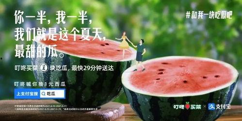 喝瓜热门文案,揭秘夏日清凉新潮流