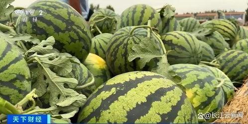 热门吃瓜每日吃瓜,揭秘娱乐圈最新动态