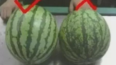 热门吃瓜每日吃瓜,揭秘娱乐圈最新动态