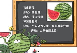 今日吃瓜历史记录图片高清,高清历史记录图片背后的故事