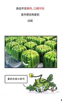 今日吃瓜历史记录图片高清,高清历史记录图片背后的故事