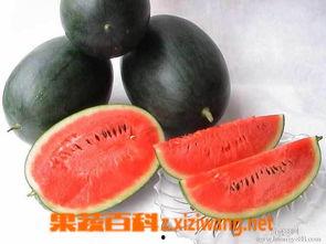 网红黑料反差吃瓜群,揭秘网络舆论的狂欢盛宴