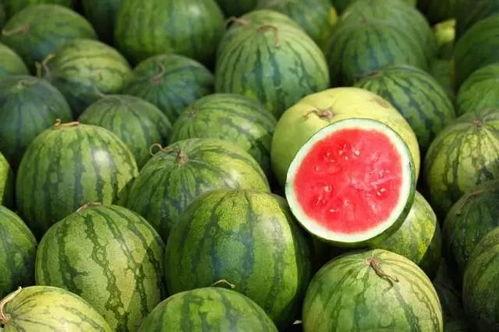最全热门吃瓜,盘点2023年度最全热门吃瓜事件大盘点
