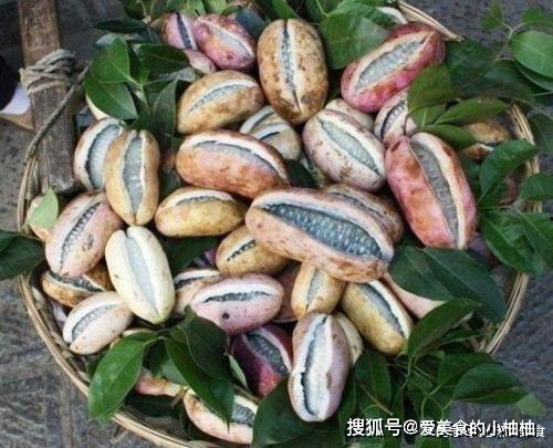 黑籽八月瓜怎么吃,黑籽八月瓜的多样食法探索