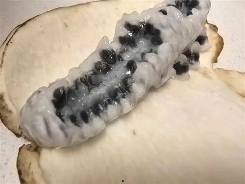 黑籽八月瓜怎么吃,黑籽八月瓜的多样食法探索