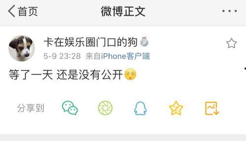 吃瓜爆料 紫微星,揭秘娱乐圈幕后风云