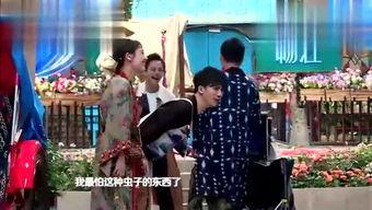 查明星网红综艺,网红与明星的跨界合作盛宴