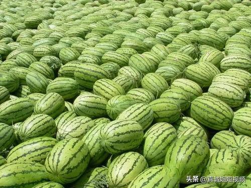 热门大瓜吃瓜网,吃瓜网带你领略娱乐圈风云变幻