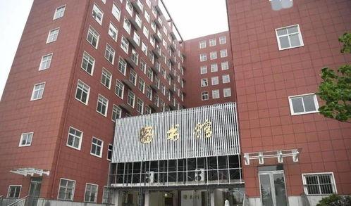 四川美术学院今日吃瓜,揭秘校园热点事件背后的真相