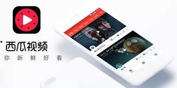 今日头条吃瓜最新消息视频,揭秘娱乐圈最新吃瓜事件，独家视频曝光！