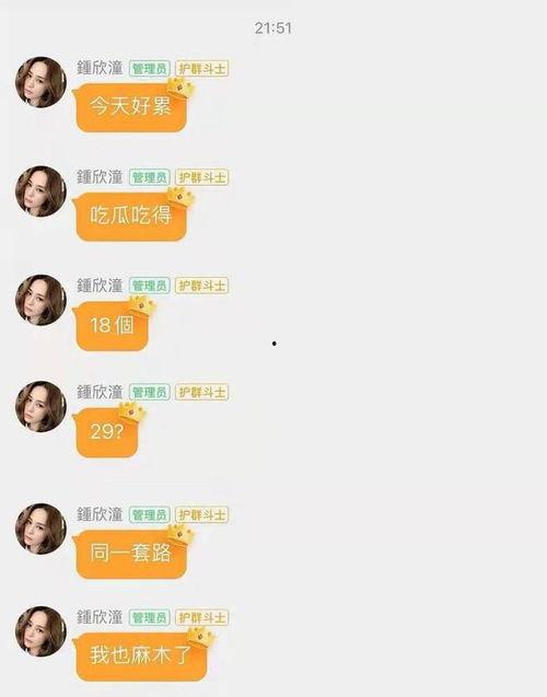 娱乐圈吃瓜最新网址,娱乐圈最新吃瓜网址大揭秘！