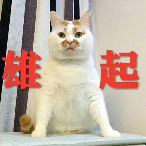 2023热门大瓜,揭秘娱乐圈风云变幻
