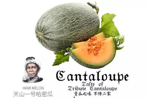 71c吃瓜爆料,揭秘娱乐圈背后的惊人真相