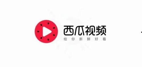 小众吃瓜聚集地今日头条,今日头条带你探索不一样的热点世界