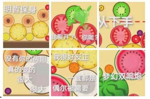 泡泡吃瓜热门大瓜,热门大瓜背后的真相与内幕