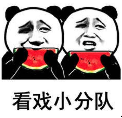 沙雕吃瓜系统娱乐圈小说,沙雕吃瓜系统，带你笑看风云变幻