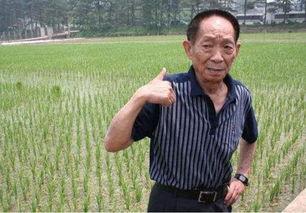 袁隆平明星网红,从田间劳模到网红明星，农业科学的璀璨明珠”