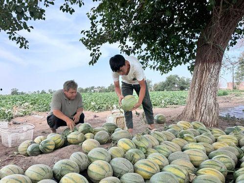 每日热门吃瓜,揭秘娱乐圈最新猛料