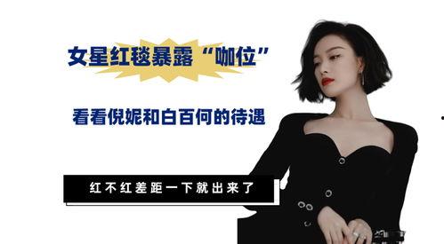 明星网红差距对待,待遇差异背后的社会现象解析
