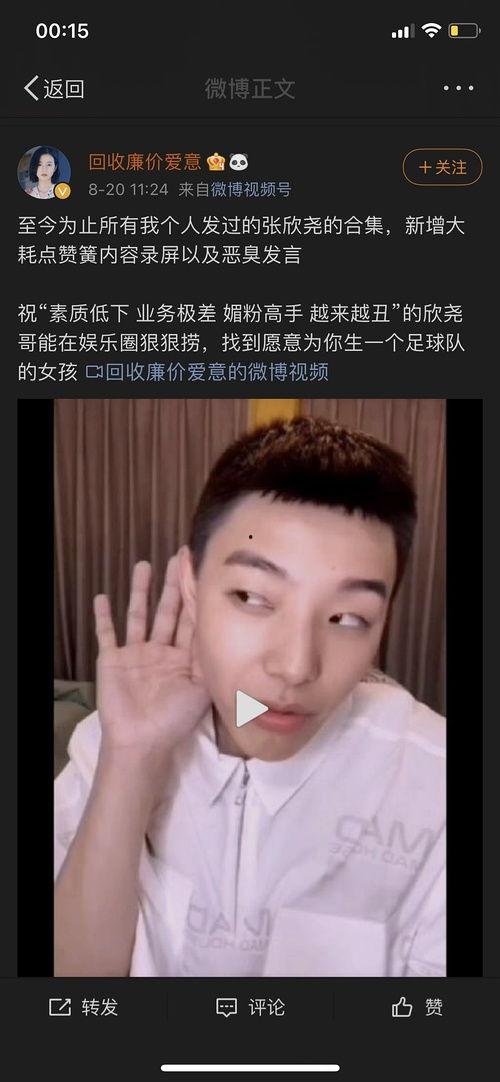 明星网红孵化站,明星网红孵化站的崛起之路