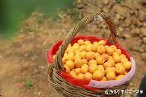 往年热门大瓜,揭秘明星背后的秘密风云