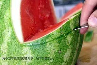 上热门鲨瓜,揭秘网络热门话题背后的秘密