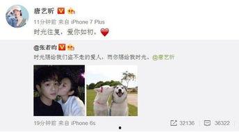 表白明星网红语录,明星网红表白语录大盘点