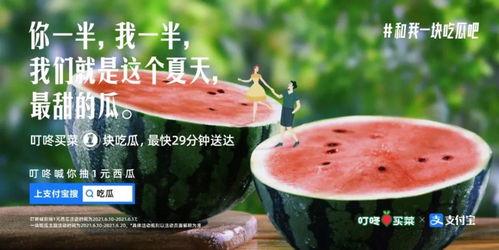 吃瓜热门文案,揭秘热门吃瓜文案背后的故事