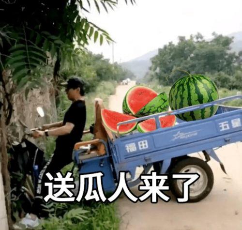 吃瓜热门文案,揭秘热门吃瓜文案背后的故事