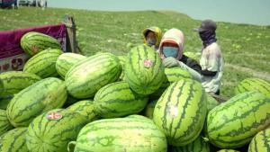 23年热门瓜,2023年度娱乐圈重磅瓜料大盘点