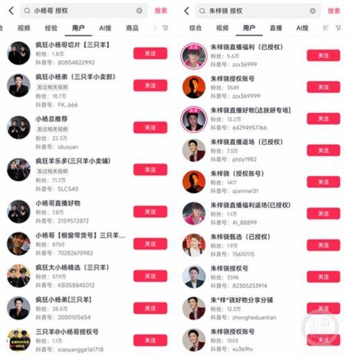 明星网红切片账号,明星效应下的流量密码解析