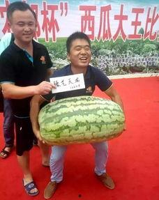 历史热门大瓜,那些轰动一时的热门大瓜事件回顾