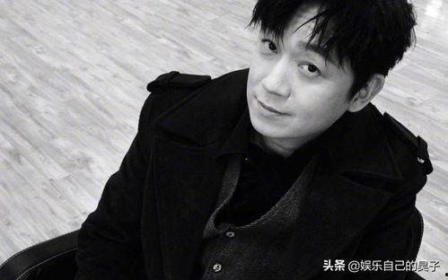 男明星网红公司,网红男星背后的经纪公司揭秘