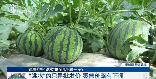 热门大瓜afternoon,揭秘热门事件背后的真相