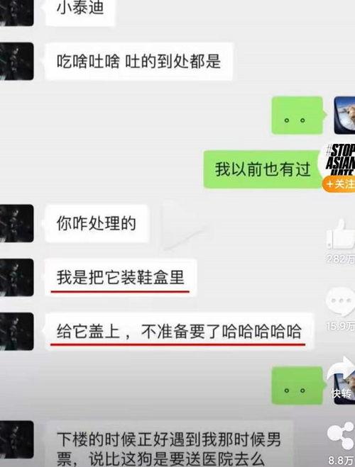 网曝吃瓜今日更新视频在线观看,今日更新精彩内容抢先看
