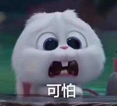 临海今日吃瓜事件真相是真的吗,真相揭秘，还原事件始末