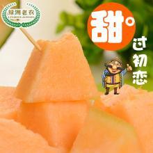 哈密瓜热门,甜蜜诱惑，夏日消暑佳品