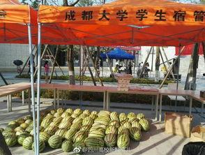 成都热门大瓜,揭秘明星幕后故事