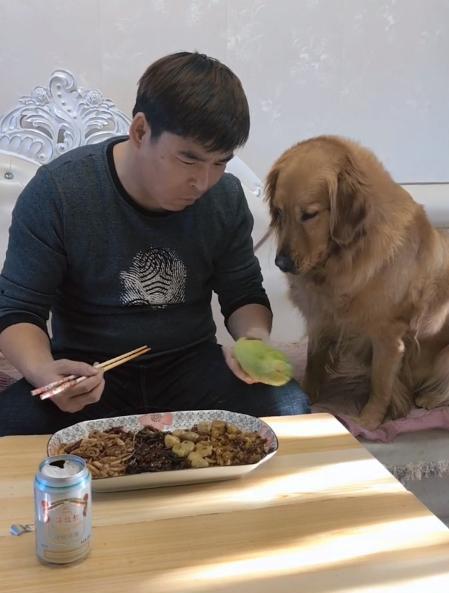 金毛能吃黑瓜吗怎么吃,金毛犬食用黑瓜的正确方法与注意事项