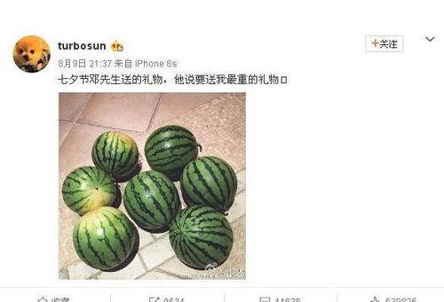 鉴定网络热门瓜,追踪热点背后的真相与争议
