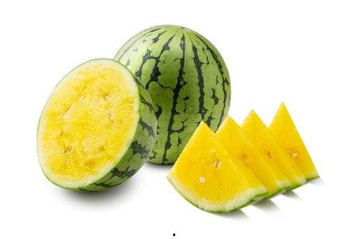 最新热门瓜教程,让你轻松成为八卦达人！