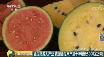 吃瓜群众热门大瓜,吃瓜群众热议的神秘大瓜揭秘