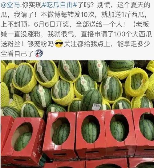 热门消防大瓜,真相与争议交织