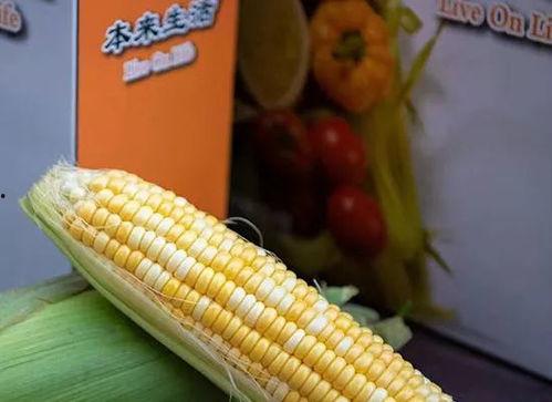 热门消防大瓜,真相与争议交织