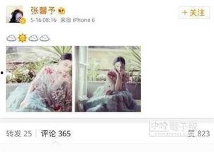 明星网红在线媒体,网红明星的在线媒体影响力解析