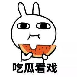 吃瓜热门时间,揭秘吃瓜群众的黄金时段