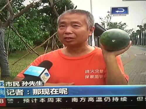 近期热门瓜事件,真相与谣言的交织
