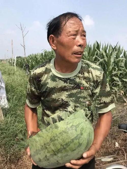 近期热门瓜事件,真相与谣言的交织